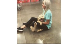 Rebecca Scott Professional Dog Trainer