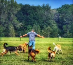 Freedom Farms K9