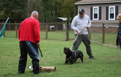 Train My K9 Little Rock