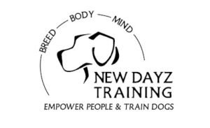 New Dayz Training