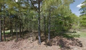 Ozark Kennels