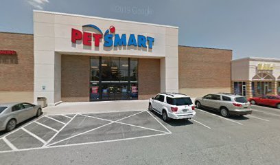 PetSmart Dog Training