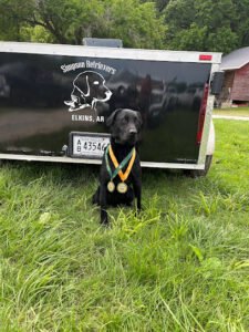 Simpson Retrievers LLC
