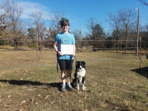 Bens K9 Training