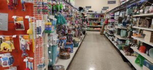 PetSmart Dog Training