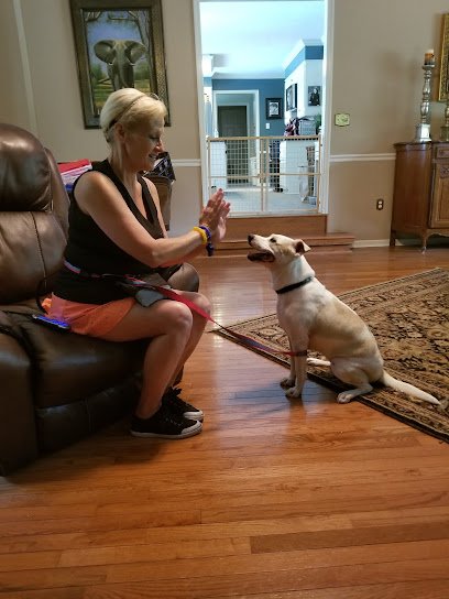 See Spot Sit Dog Training & Behavior Modification