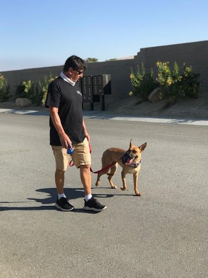 Desert Living Dog Training
