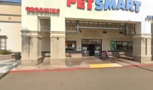 PetSmart Dog Training