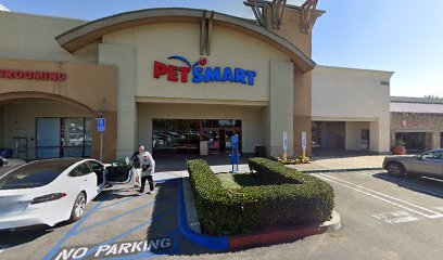 PetSmart Dog Training