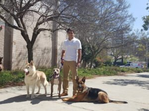 Golan Dogs
