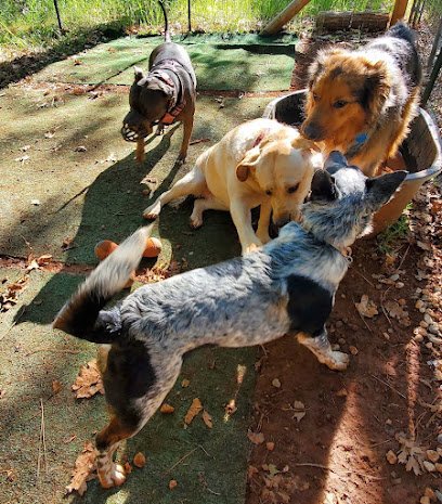Casa Luna Canines