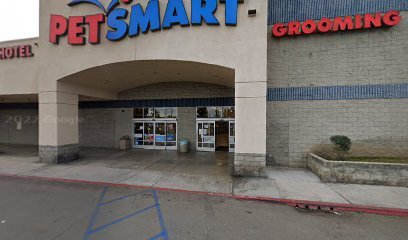 PetSmart Dog Training