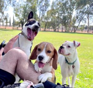Country Road Canines, LLC