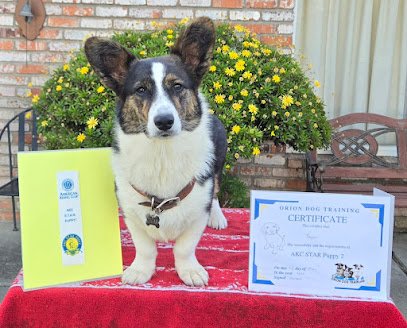 Orion Dog Training