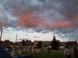 Morgan Hill Dog Sports