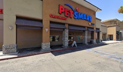 PetSmart Dog Training