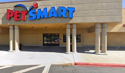PetSmart Dog Training