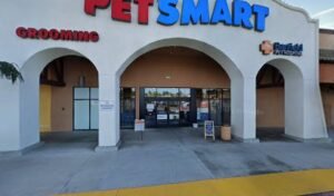 PetSmart Dog Training
