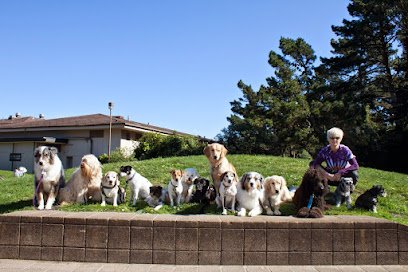 SF Dog Connect