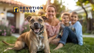 Devotion to Dogs Expert Dog Training