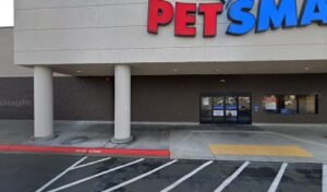 PetSmart Dog Training