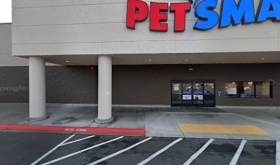 PetSmart Dog Training