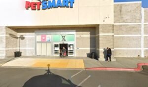 PetSmart Dog Training