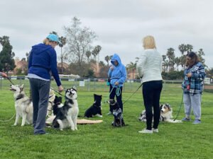 Goleta Valley Dog Club