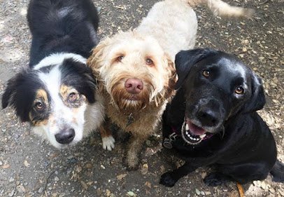 For Sniffs And Giggles