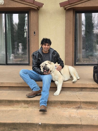 Pack Leader Dog Training