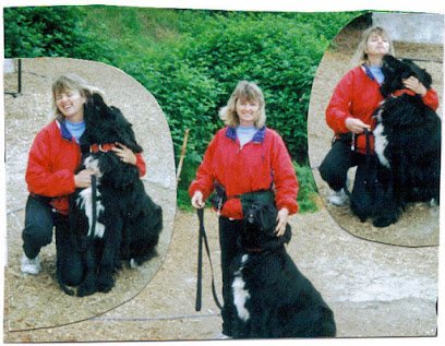 Wizards of Paws Dog Training