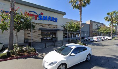 PetSmart Dog Training