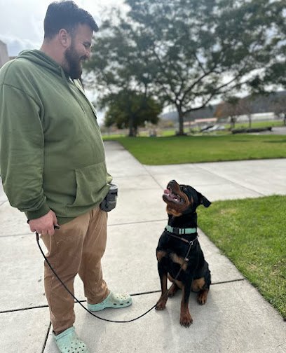Kandid K9 Dog Training