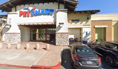 PetSmart Dog Training