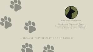 K&O Dog Training