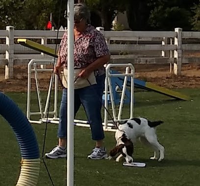 Astro’s Agility Academy