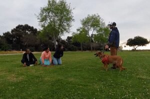 Speak-Canine.com