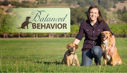 Balanced Behavior Inc.
