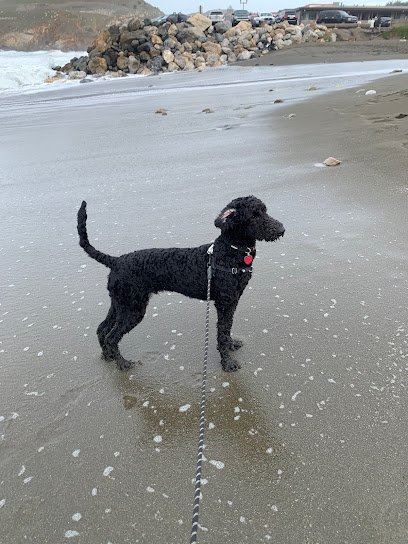 California Service Dog Academy