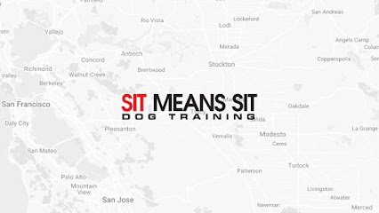 Sit Means Sit Dog Training – Modesto