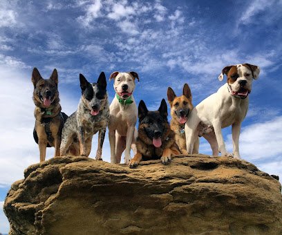 Pet Peeves Training, LLC