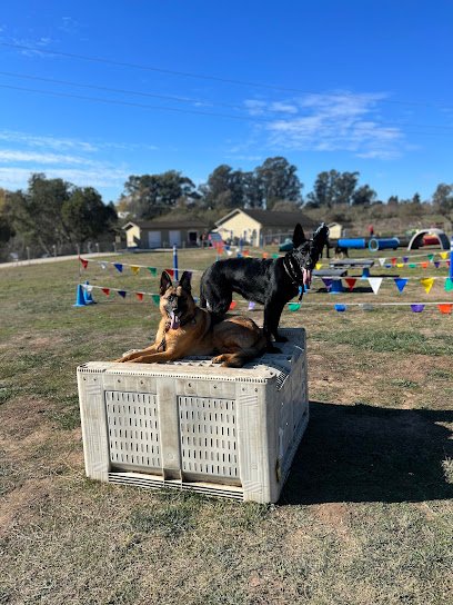 K-9 Clinic