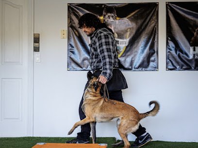 High Caliber Working Dog Training