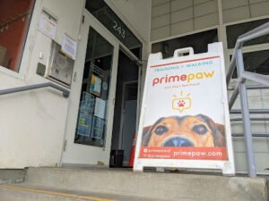 Primepaw Dog Training: San Francisco’s BEST!