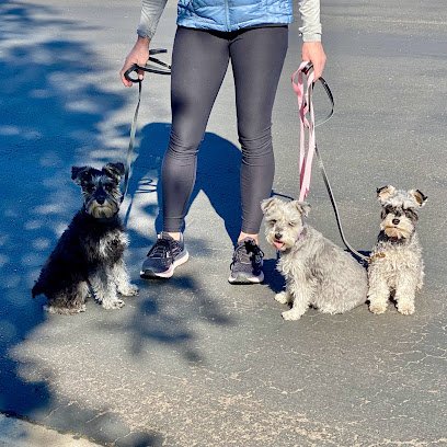 Finest City Dog Training