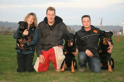 Dog Dynamics — Dog Training Walnut Creek