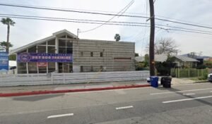 Scott-Fox Puppy Preschool