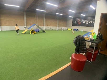 Golden Gate Dog Sports