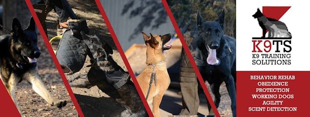 K9 Training Solutions