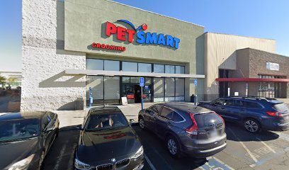 PetSmart Dog Training